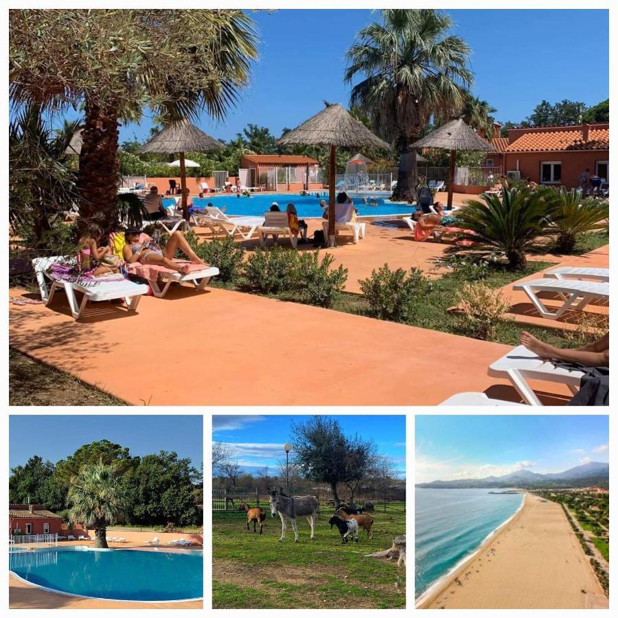 Camping Le Clos Du Thym Argelès-sur-Mer Eksteriør billede